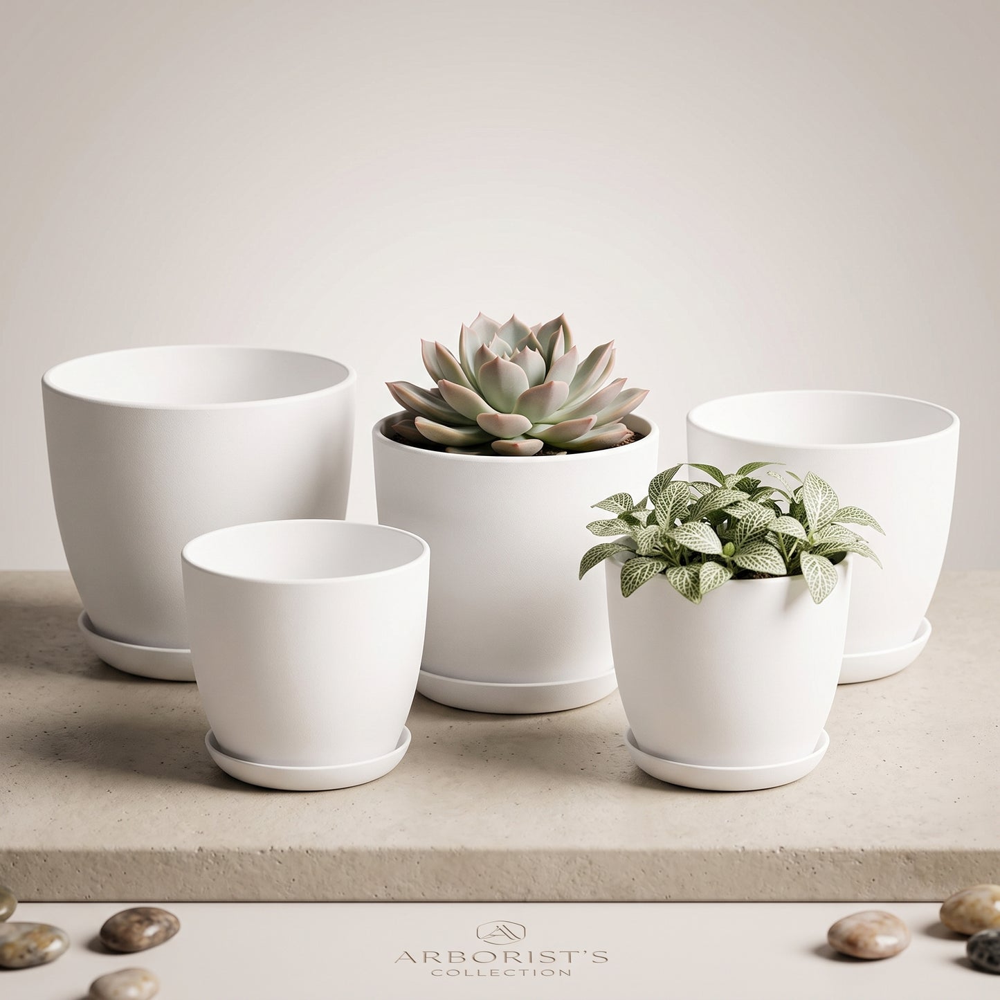 Premium 5-Piece Multi-Size Plastic Planter Pot Set with Saucers Drainage & Saucers