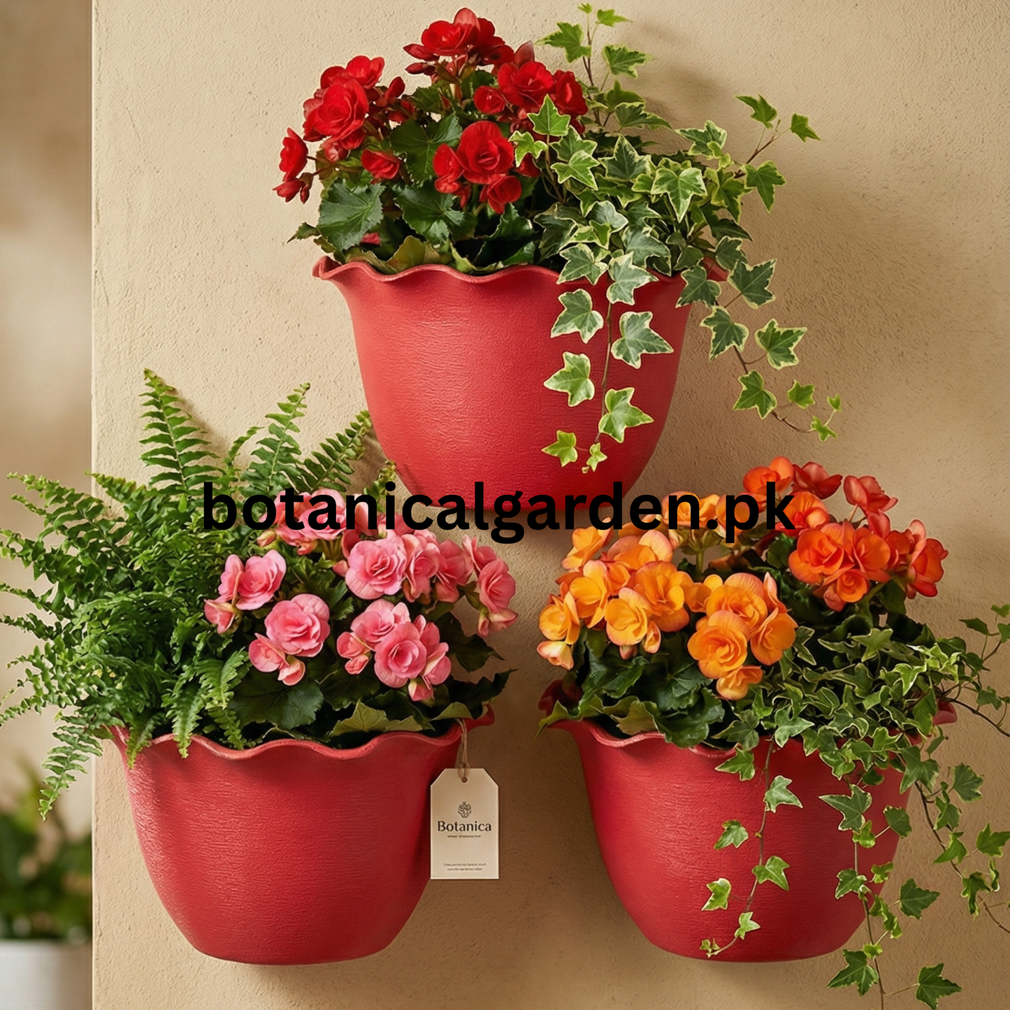 Curly Edges Wall Pot 9Inch