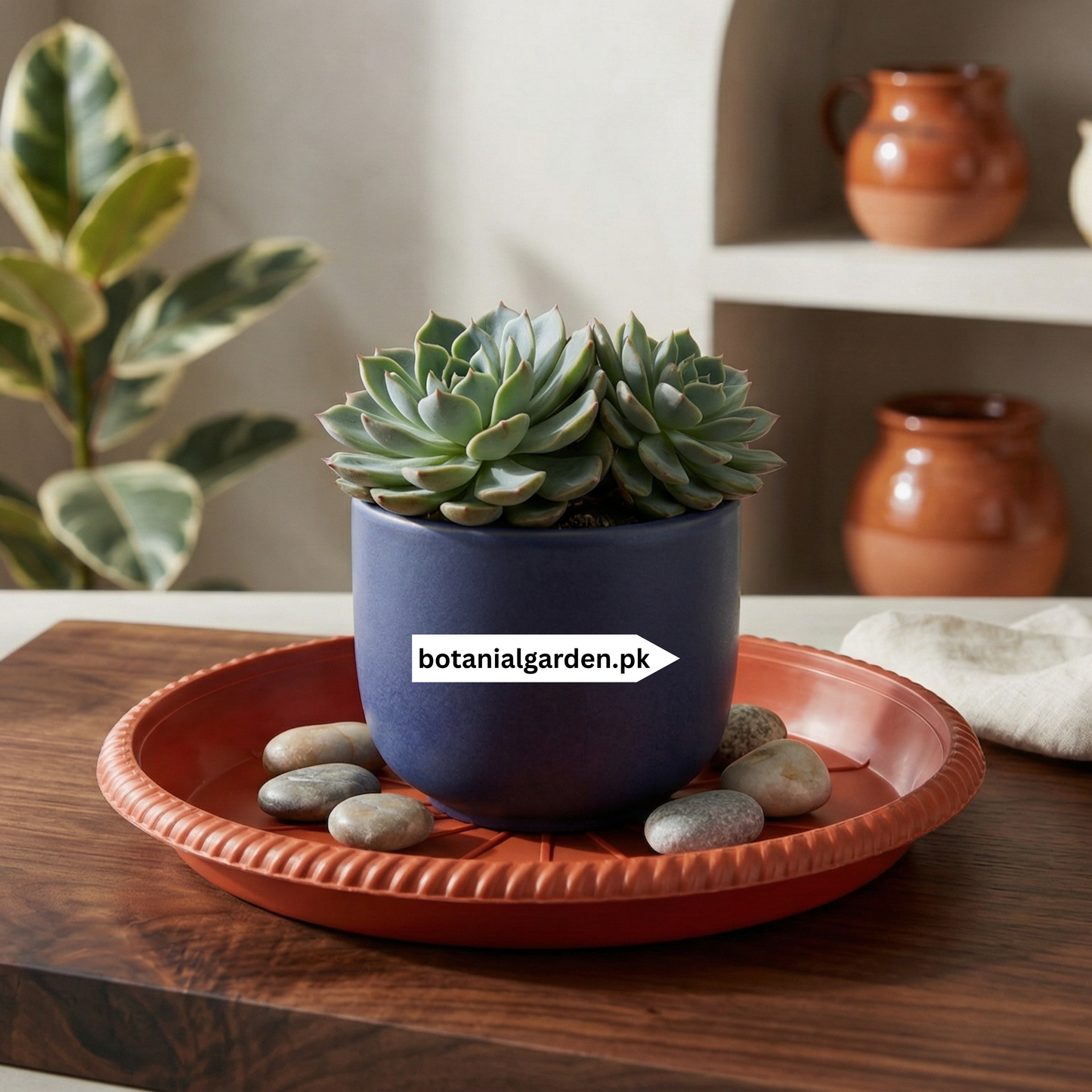 Plastic Pot Tray 9Inch