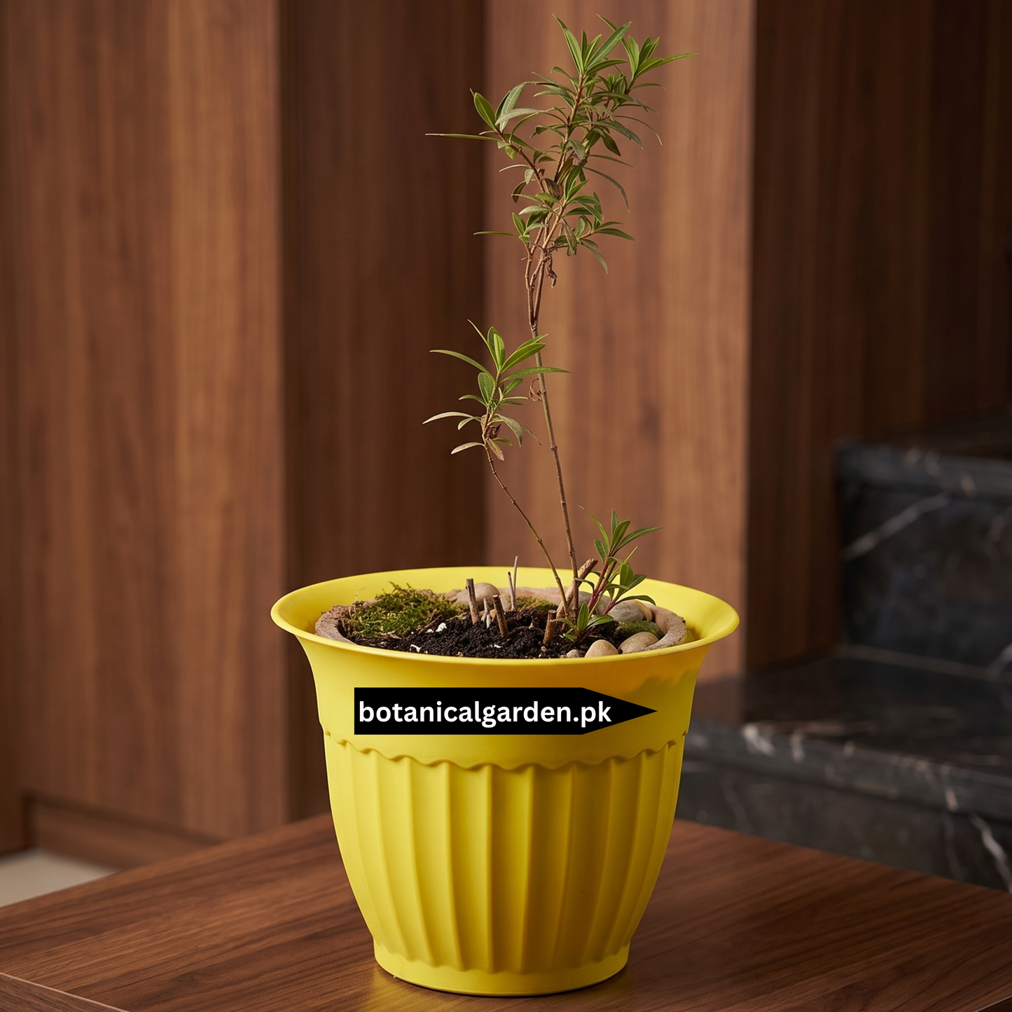 Stylish Garden Pot 12inch