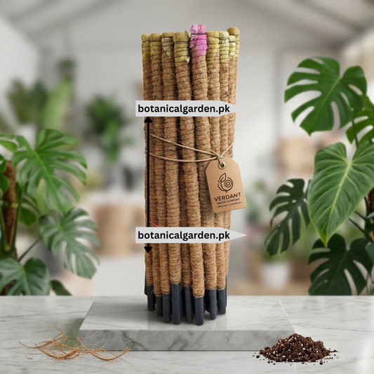 Coconut Moss Stick 30inch
