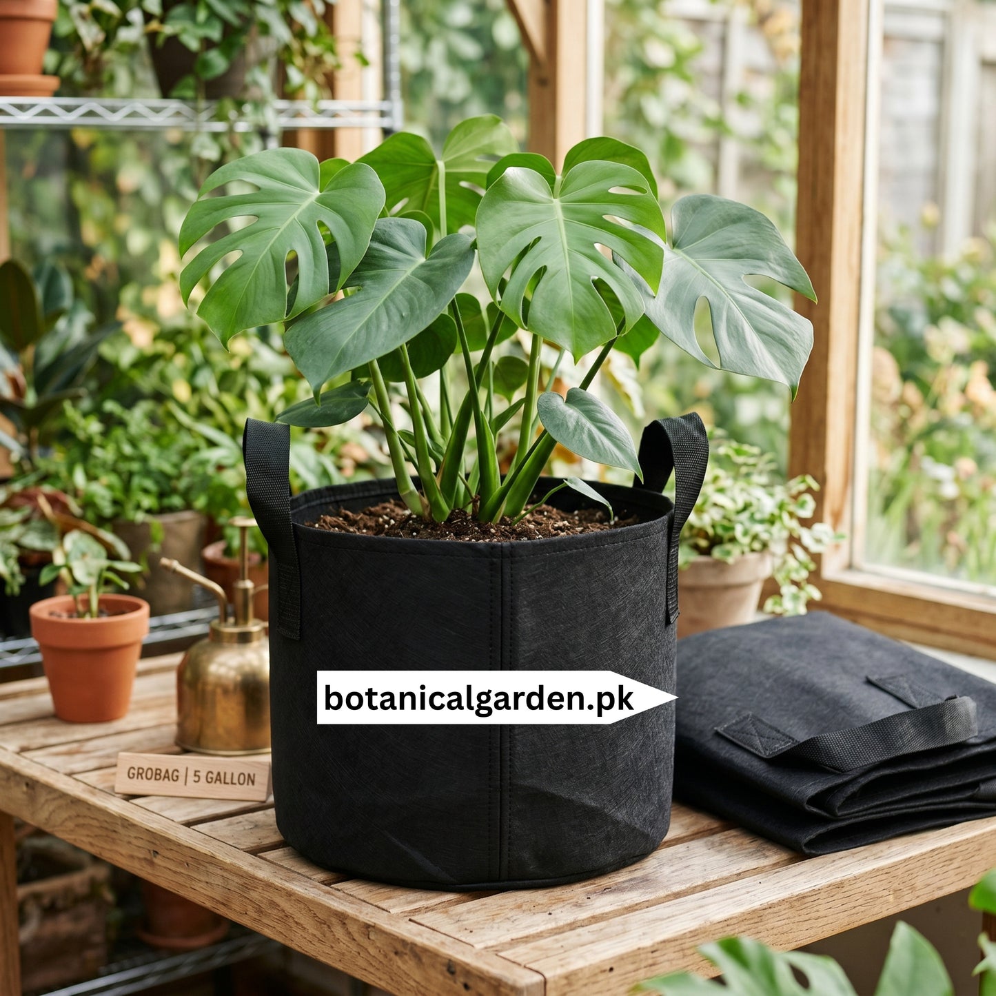 1.5 Gallon Fabric Grow Bag with Handles