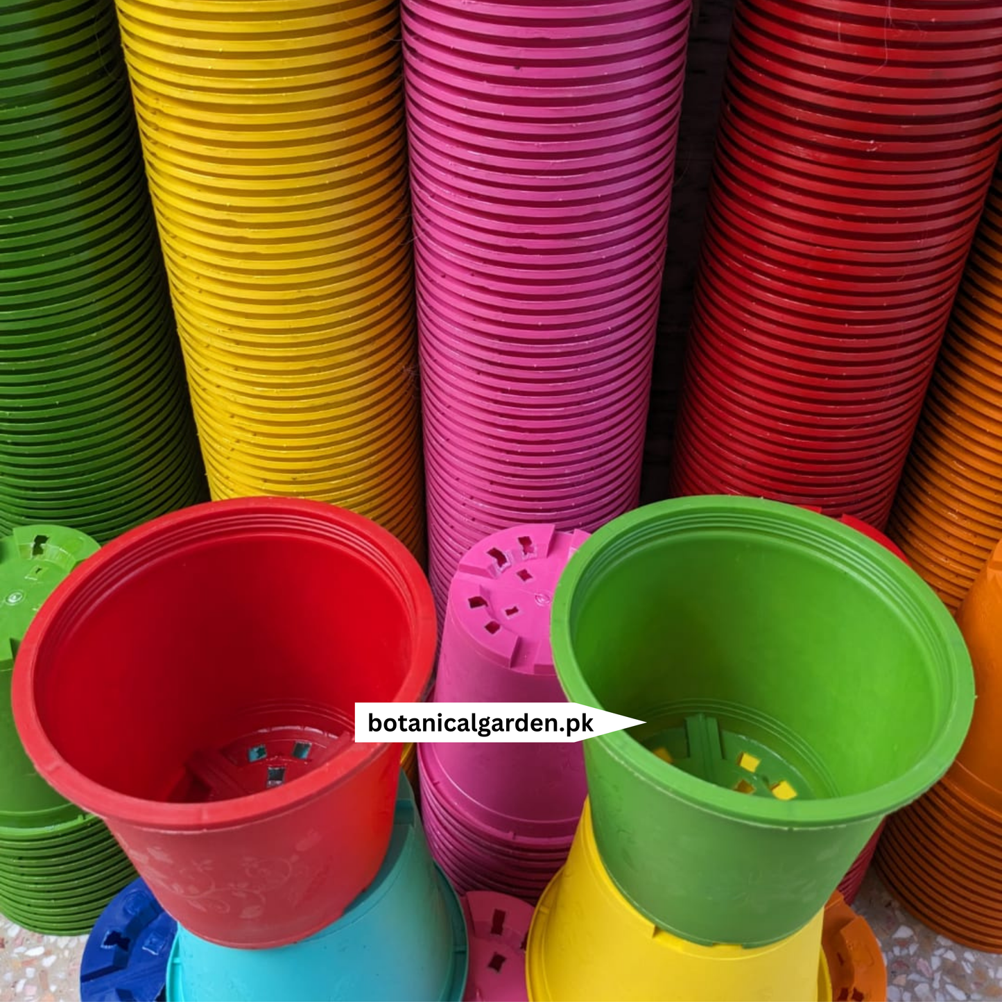 Colorful Plastic Pot 7Inch
