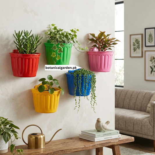 Colorful Wall Hanging Pot 9Inch