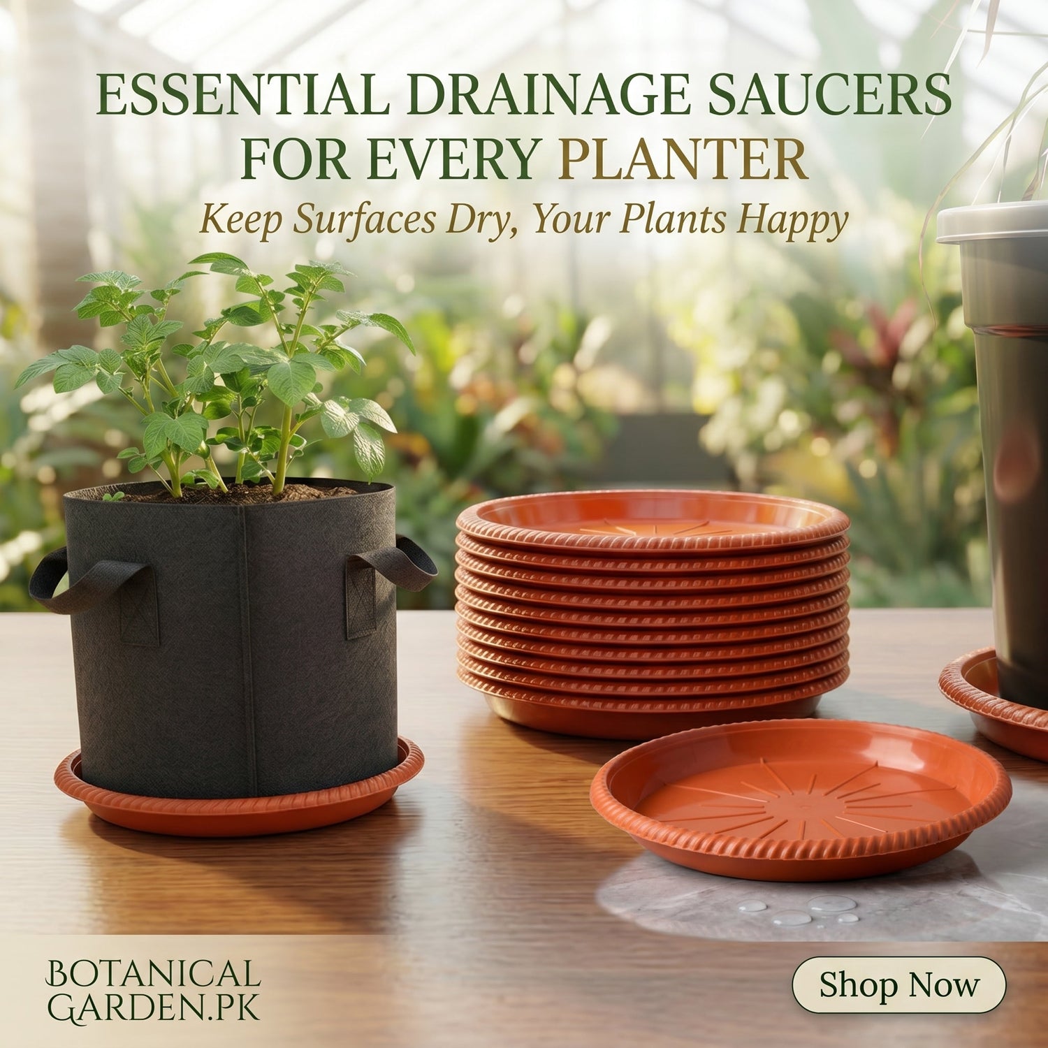 Planter Bottom Plate