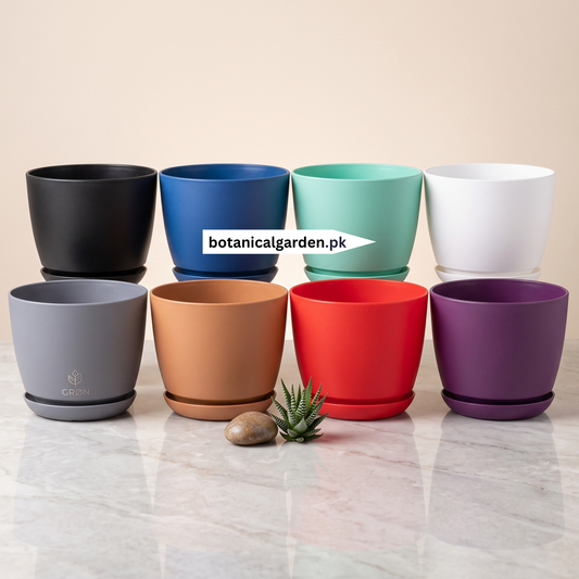 Premium Large Plant Pots 6.6Inch with Drainage & Saucers