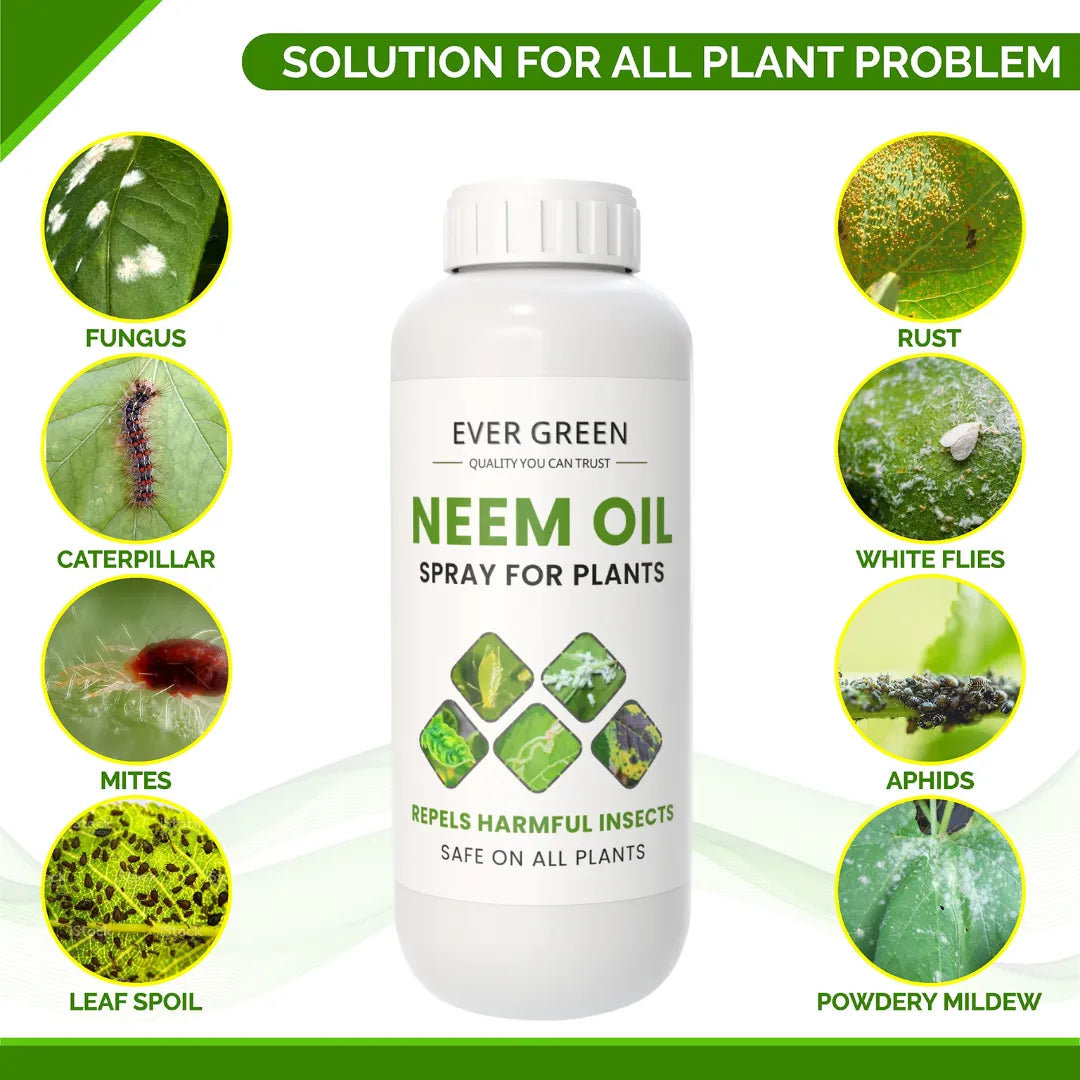 Neem Oil 50ml
