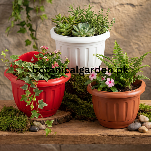 Multi Wall Pots 6Inch