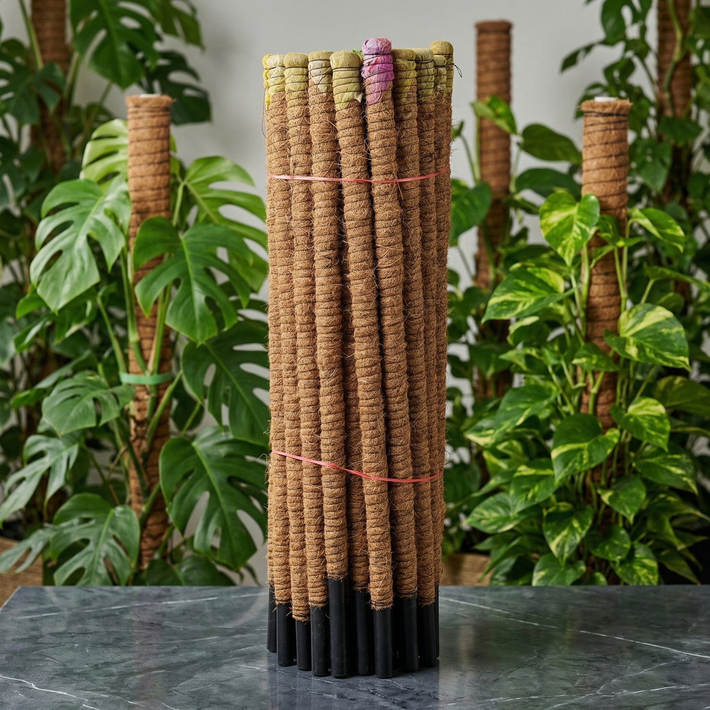 Coconut Moss Stick 50inch
