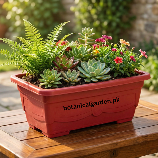 Rectangular Plastic Kiyari 11inch