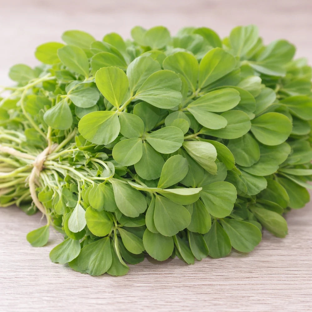 Fenugreek (Kasuri Methi) Seeds قصوری میتھی