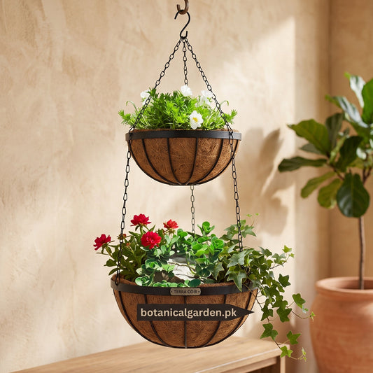 Double Coco Hanging iron Basket 8 Inch Upper & 10 Inch Lower