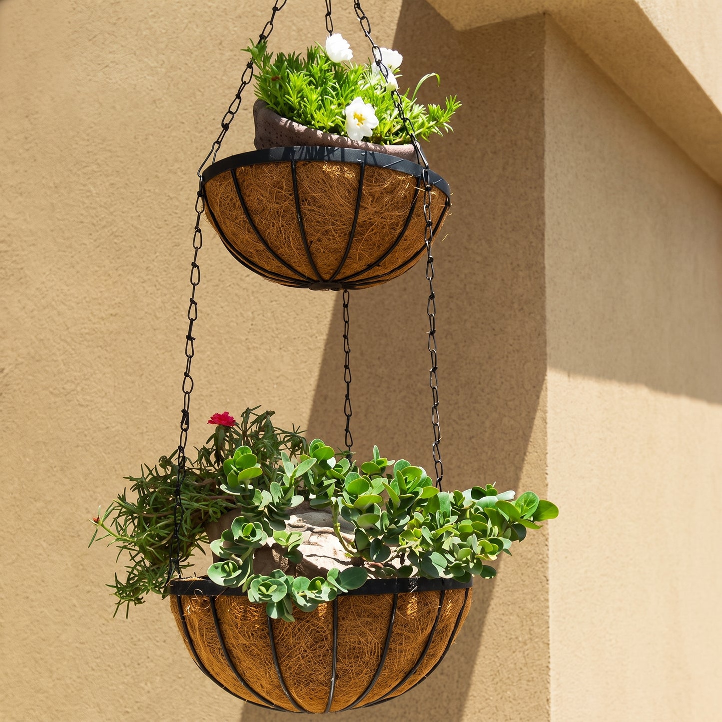 Double Coco Hanging iron Basket 8 Inch Upper & 10 Inch Lower