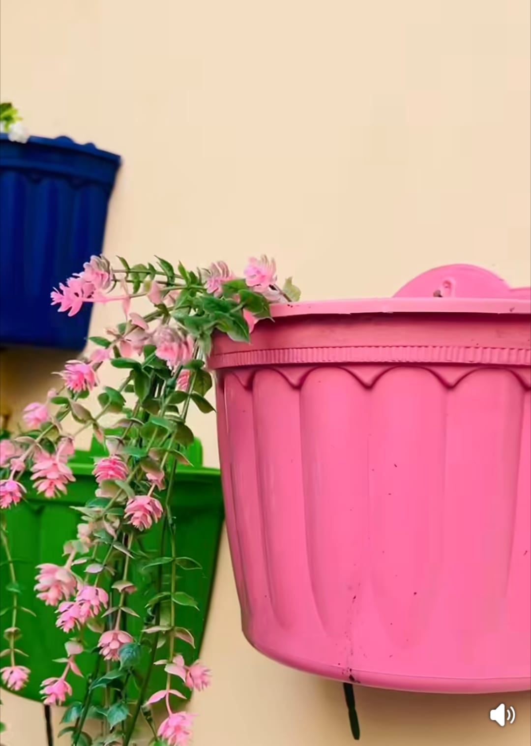 Colorful Wall Hanging Pot 9Inch