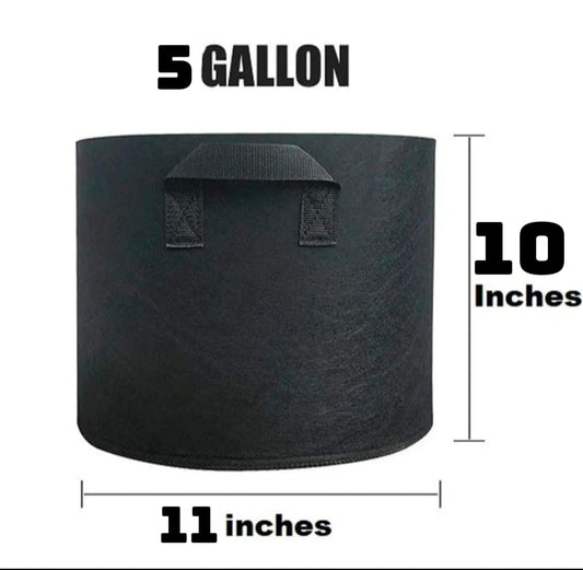 5 Gallon Fabric Grow Bag with Handles