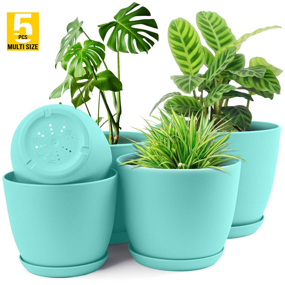 Premium 5-Piece Multi-Size Plastic Planter Pot Set with Saucers Drainage & Saucers