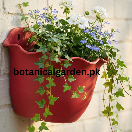 Curly Edges Wall Pot 9Inch