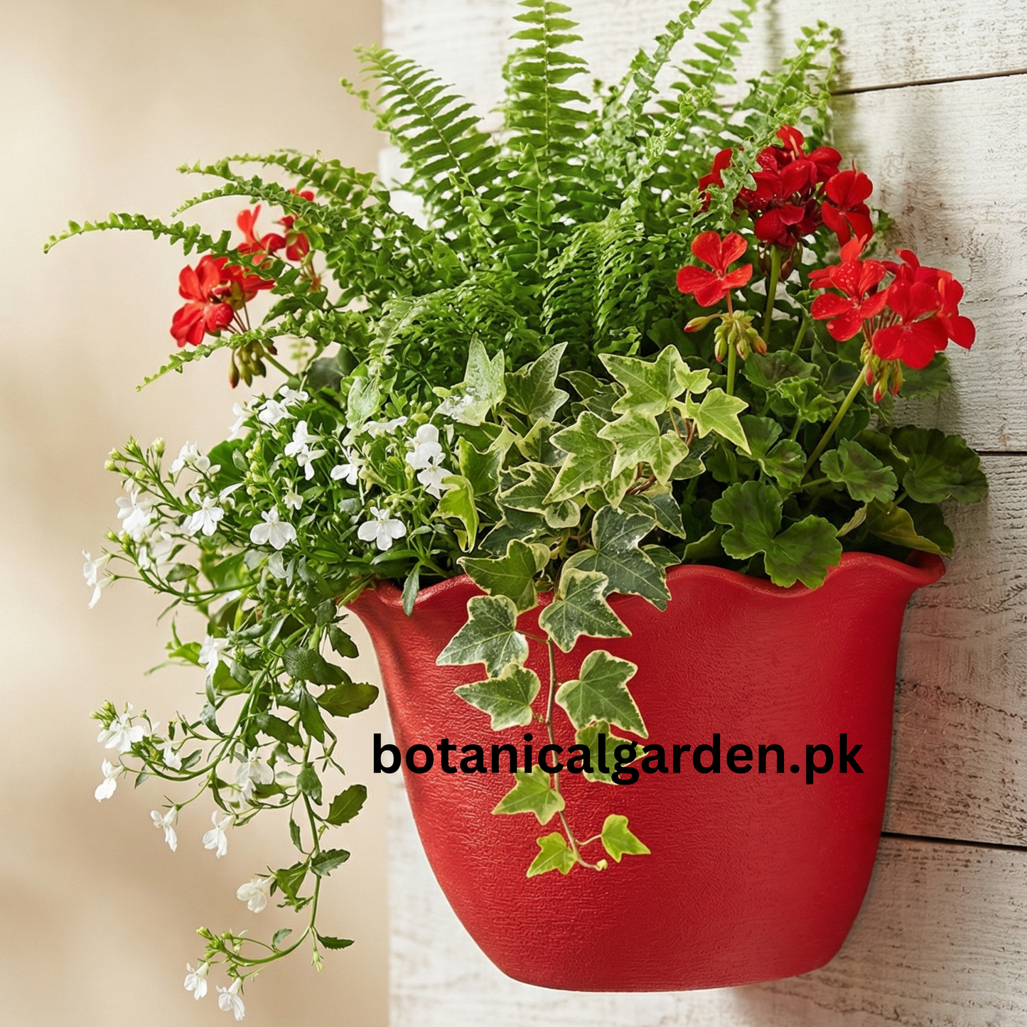 Curly Edges Wall Pot 9Inch