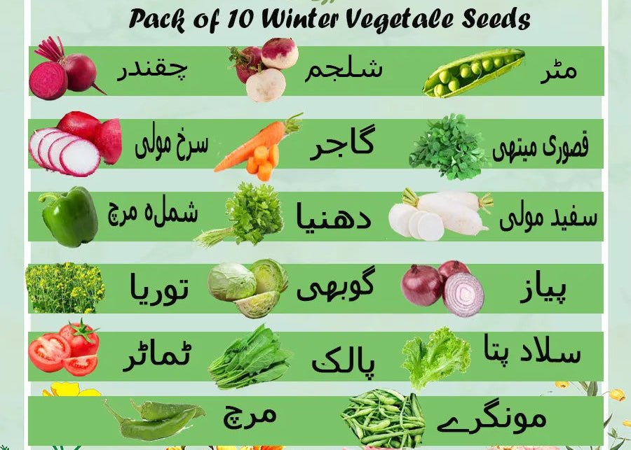 Winter Kitchen Gardening Seeds Pack – 10 Vegetable Varieties