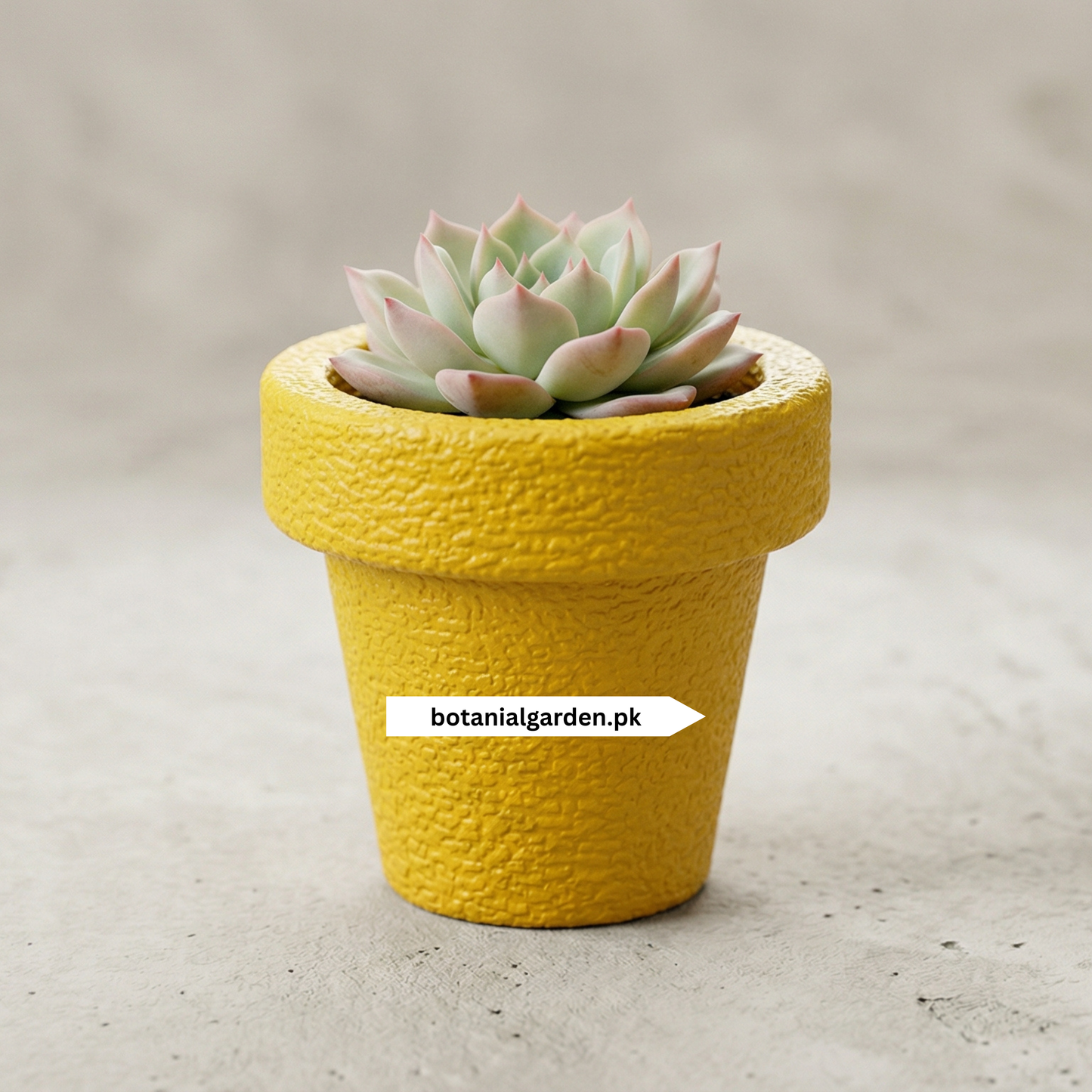 Texture Fiber Pot 5inch