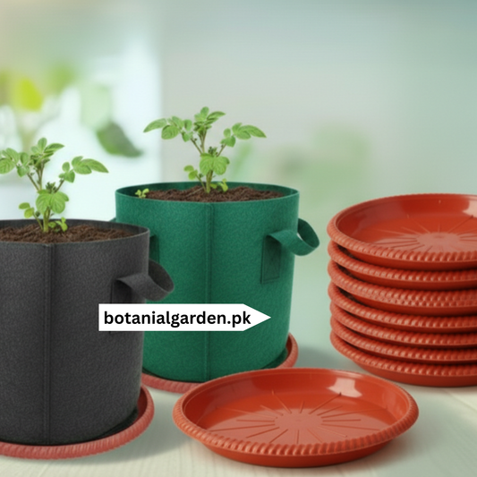 Plastic Pot Tray 12Inch