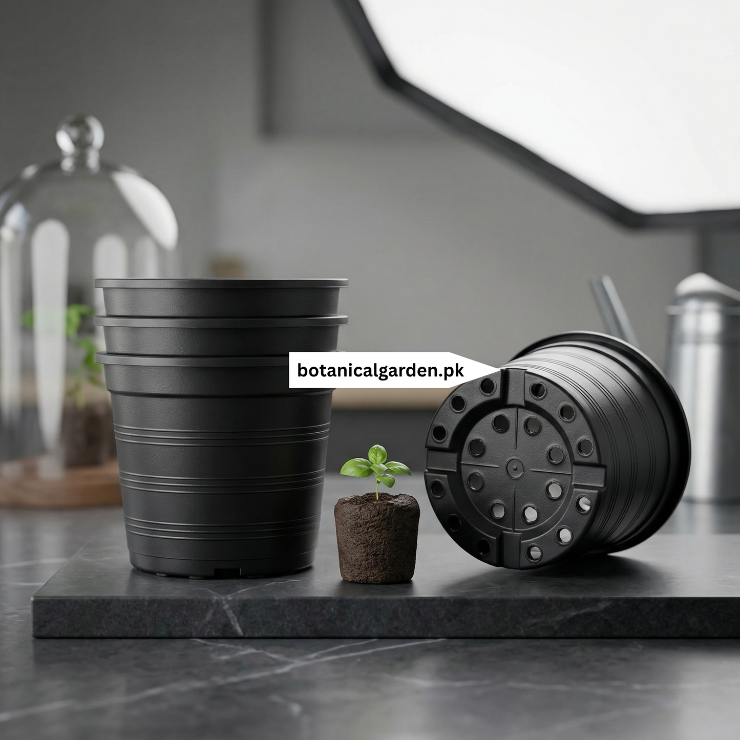 Black Plastic Pot 6inch