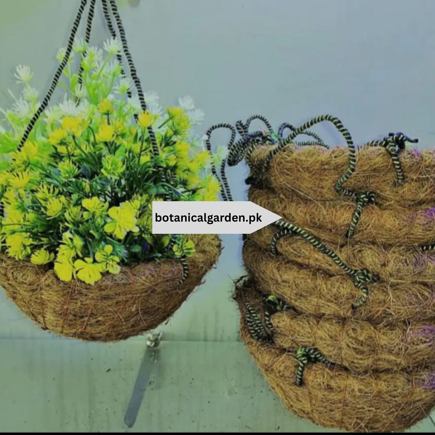 Coconut Hanging Basket 9inch