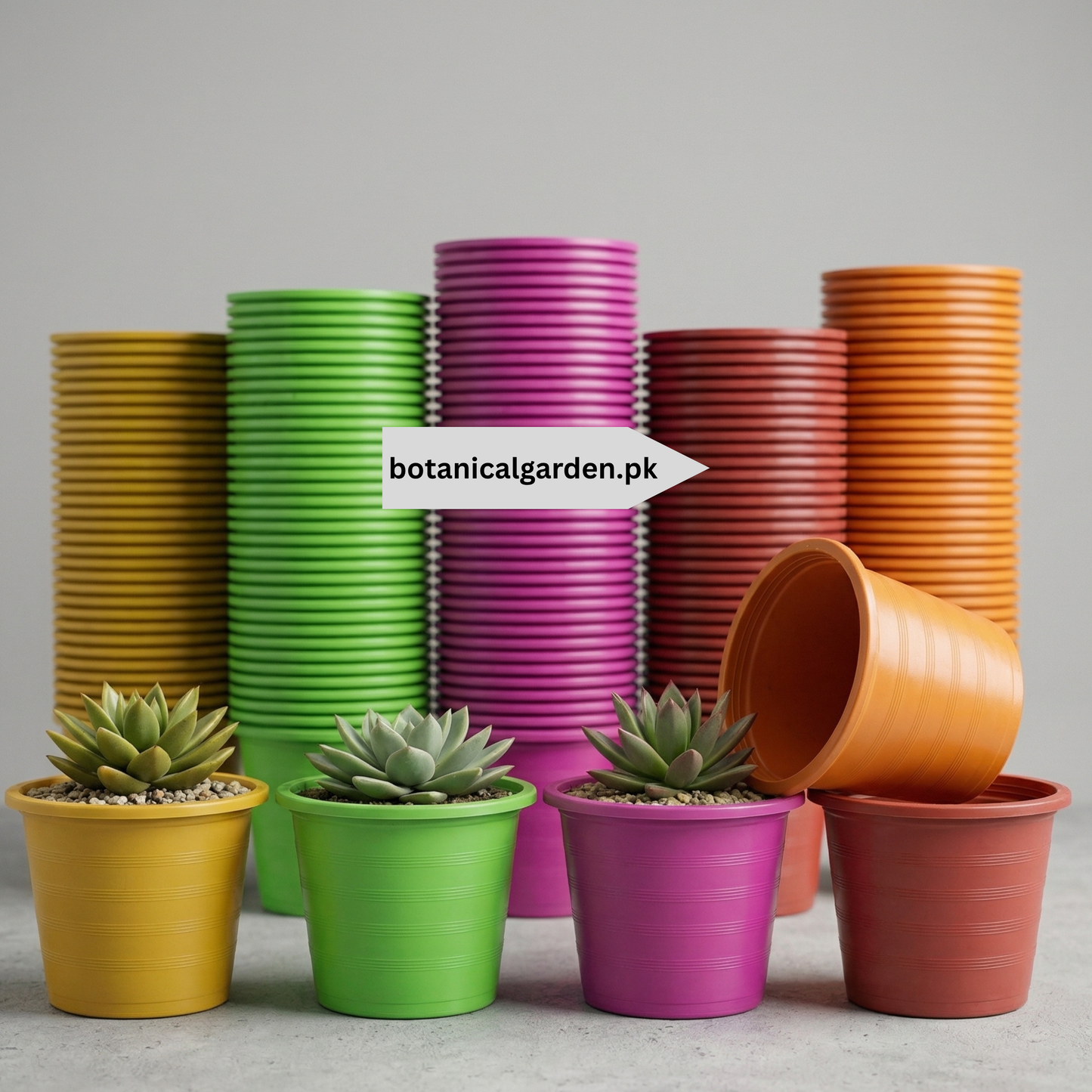 Colorful Pots 7.5inch