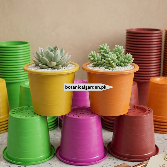 Colorful Pots 7.5inch