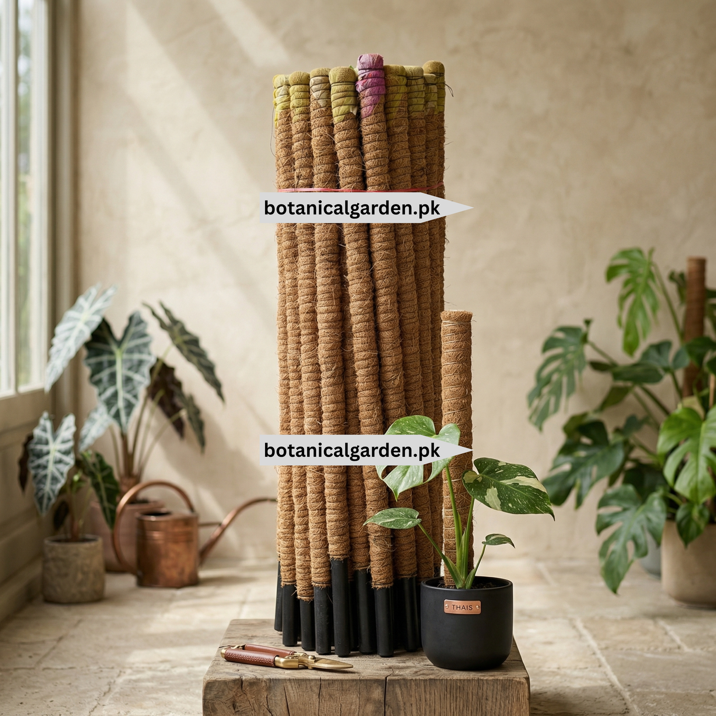 Coconut Moss Stick 50inch