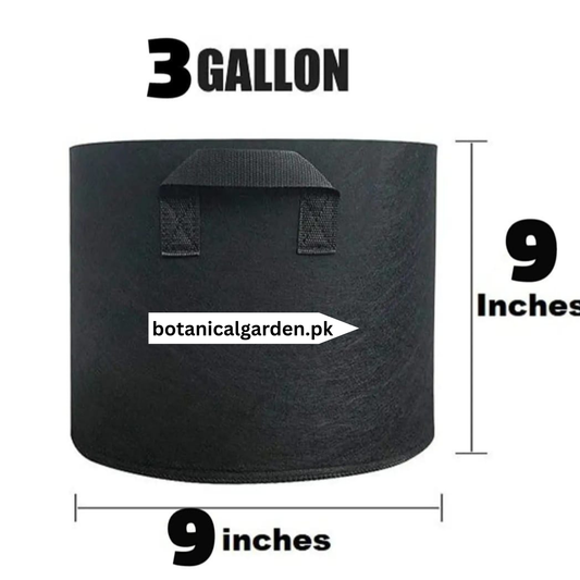 3 Gallon Fabric Grow Bag with Handles