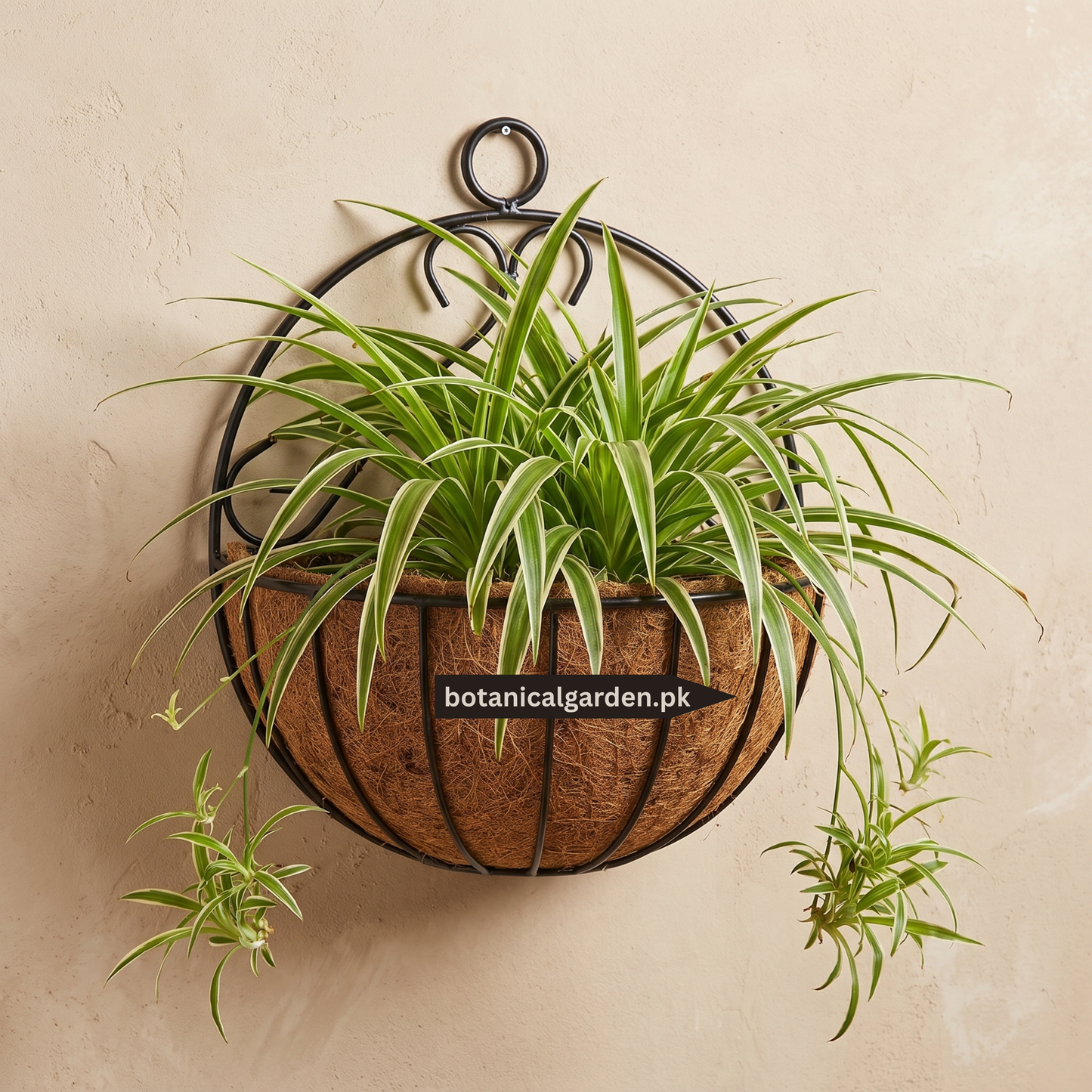 Metal Half-Moon Wall Hanging Basket with Coco Liner