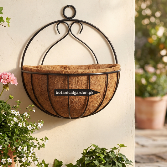 Metal Half-Moon Wall Hanging Basket with Coco Liner