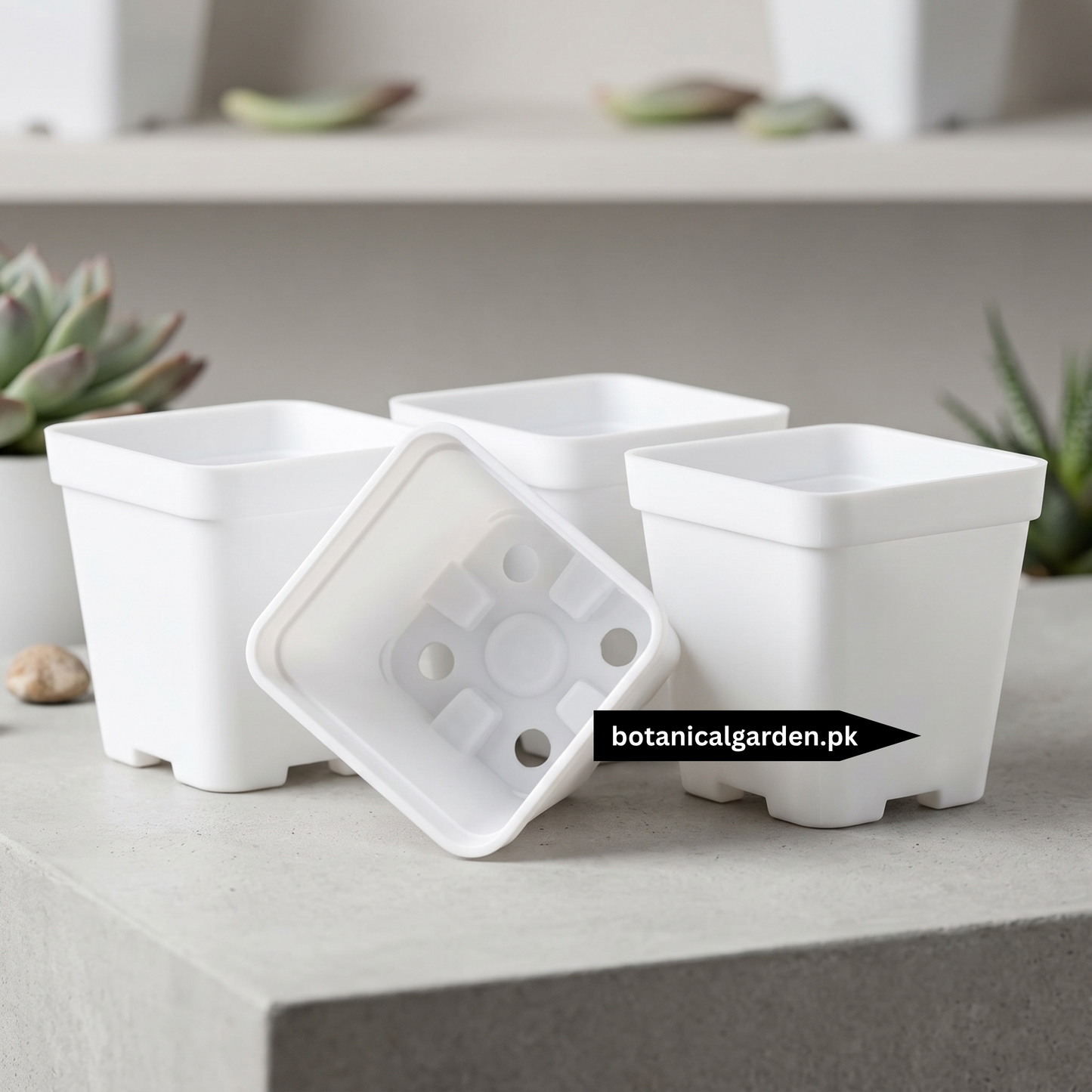Square White Plastic Pot 3 Inch