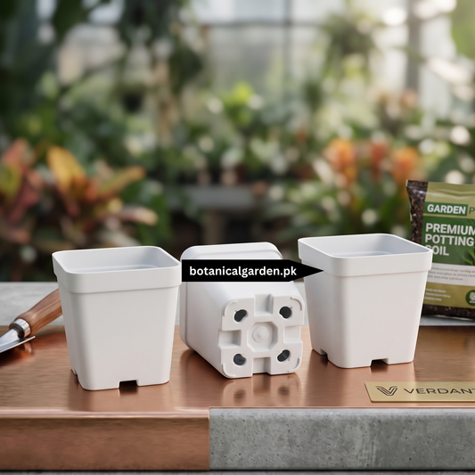 Square White Plastic Pot 3 Inch