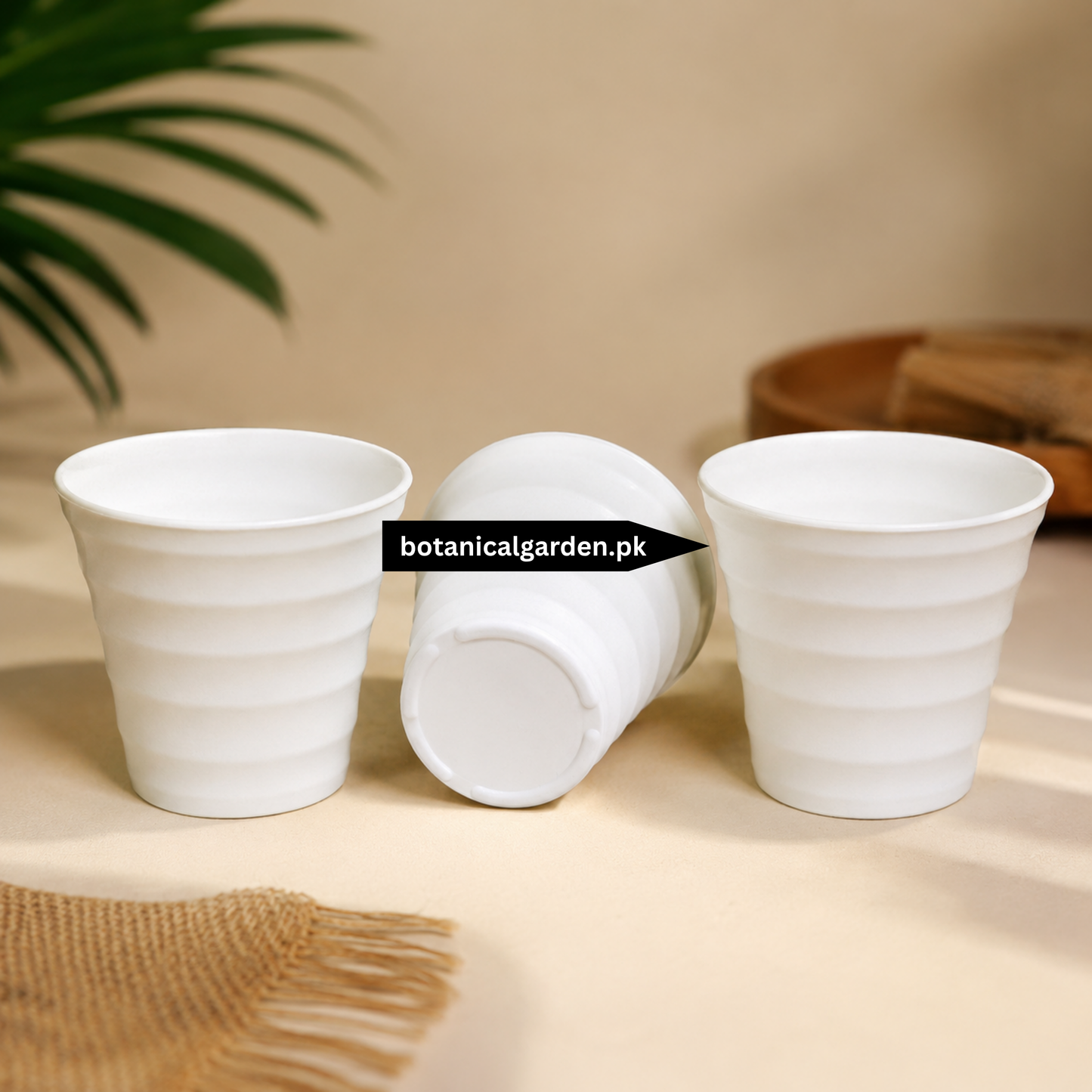 Mini Plastic Pot 2.5 Inch