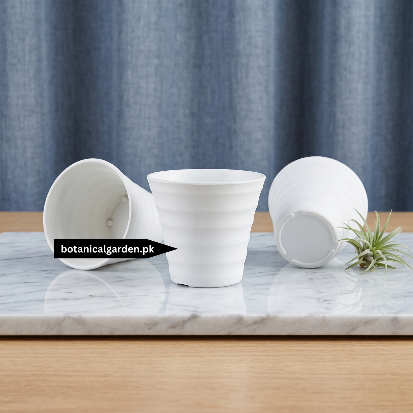 Mini Plastic Pot 2.5 Inch