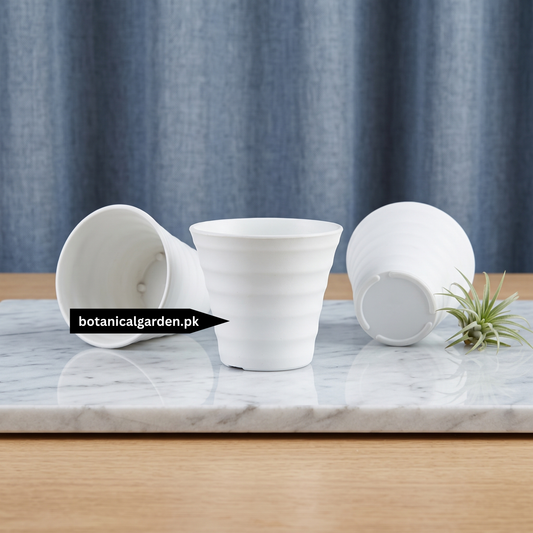 Mini Plastic Pot 2.5 Inch