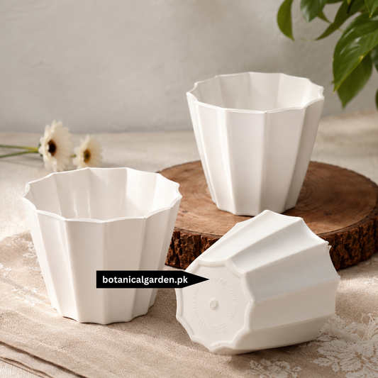 Geometric Plastic Pot 3.5 Inch