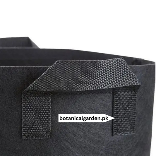 3 Gallon Fabric Grow Bag with Handles
