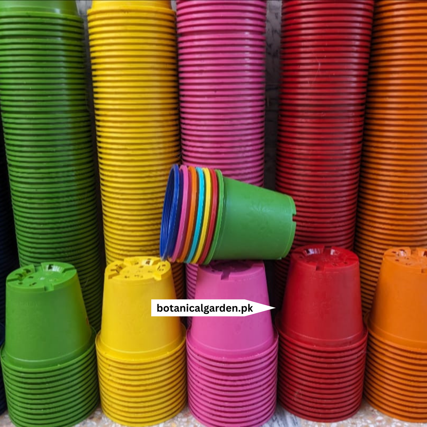 Colorful Plastic Pot 7Inch