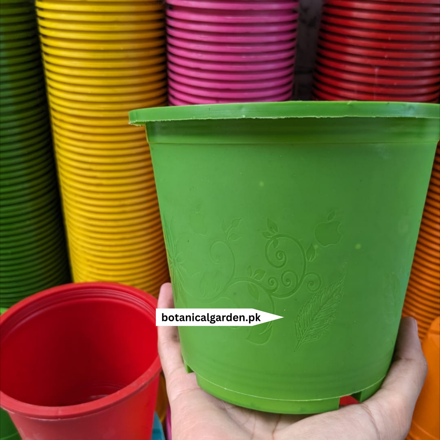 Colorful Plastic Pot 7Inch
