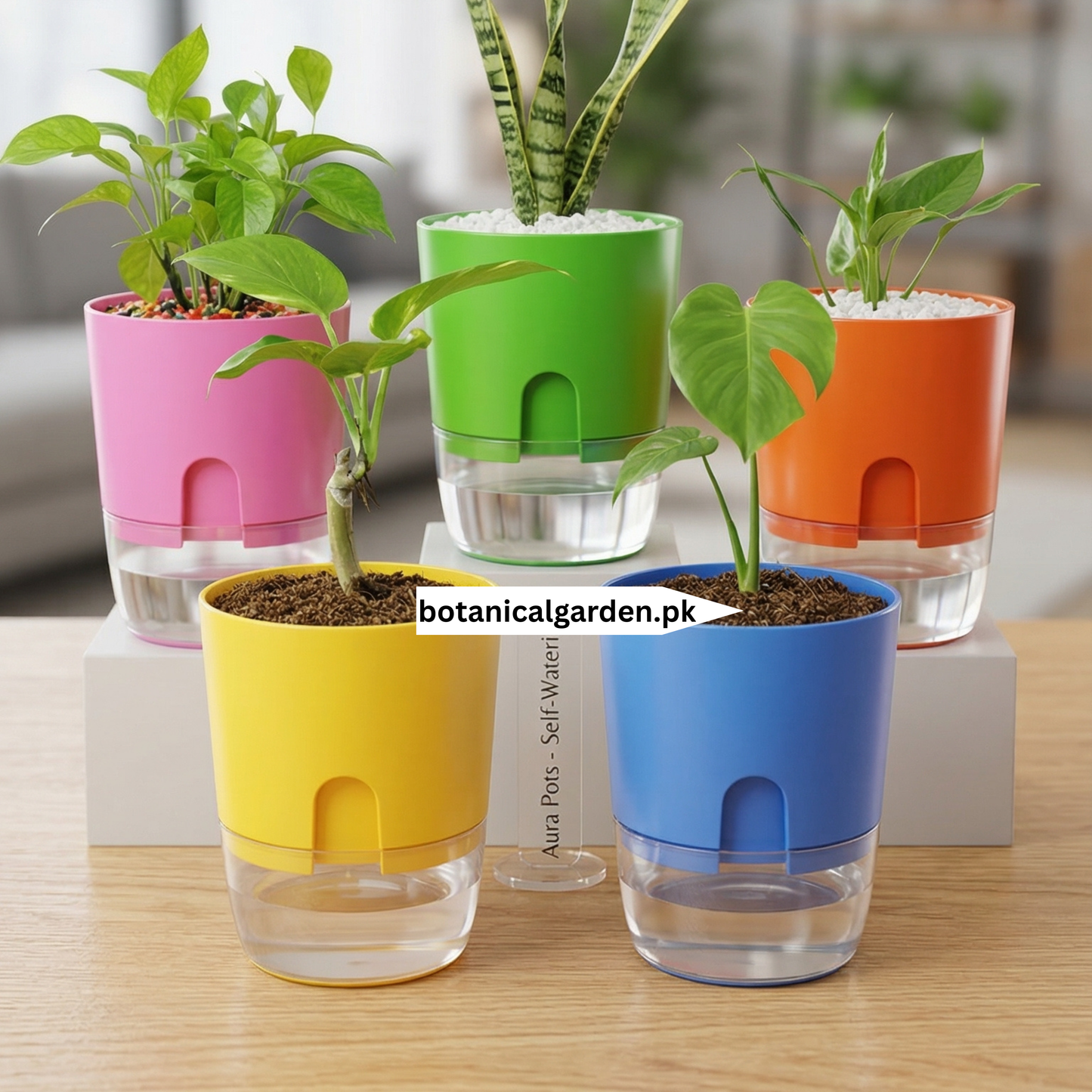 Self Watering Pot 5inch