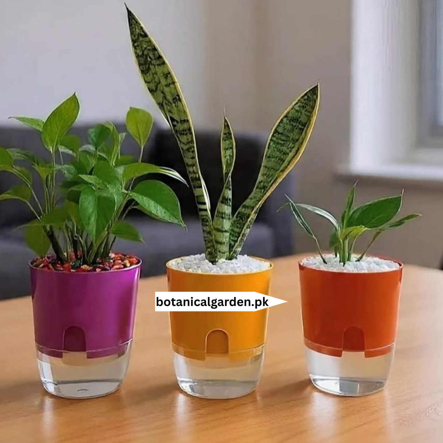 Self Watering Pot 5inch