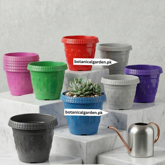 Colorful Pots 6Inch