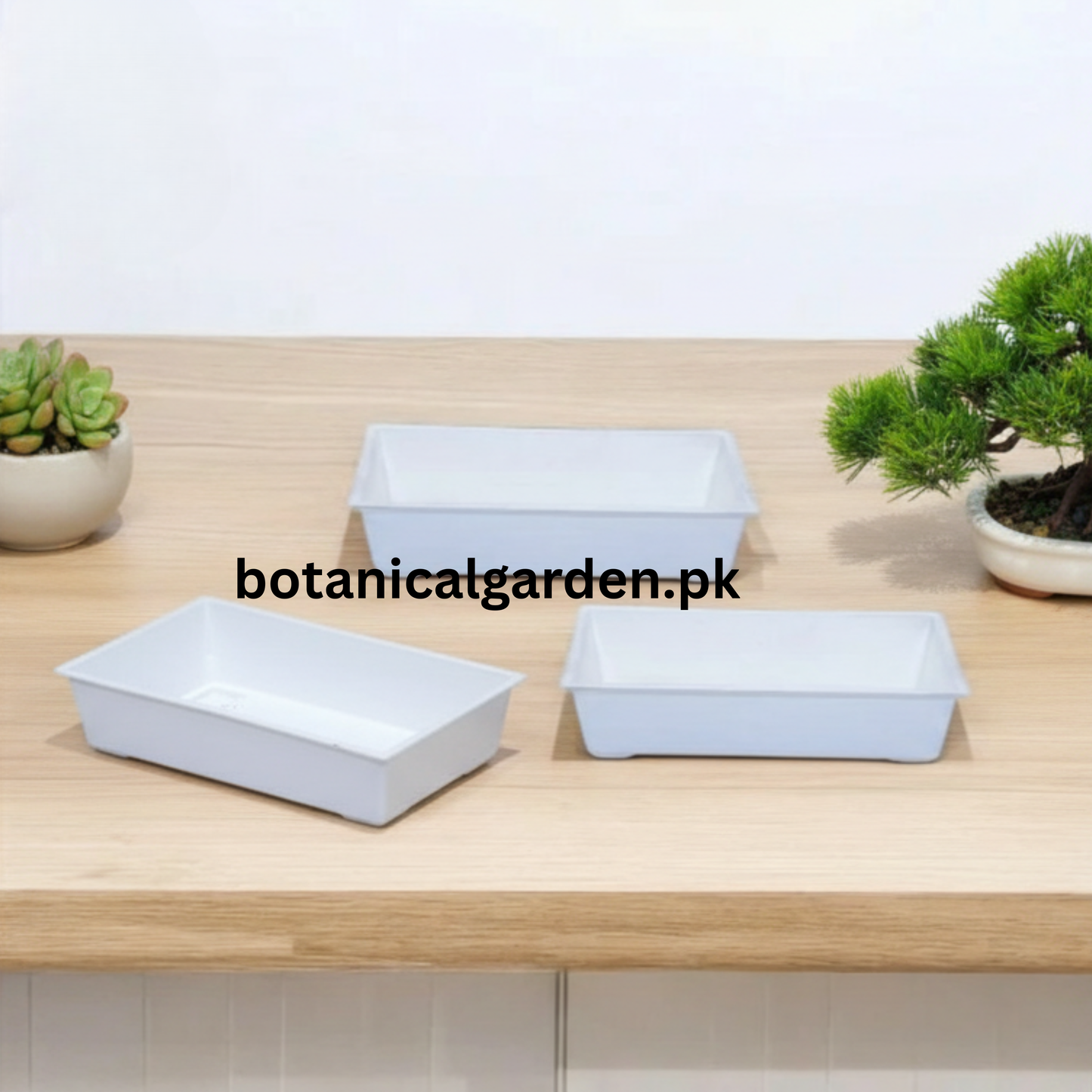 Bonsai Tray 10Inch