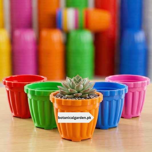 Ribbed Colorful Pots 6Inch