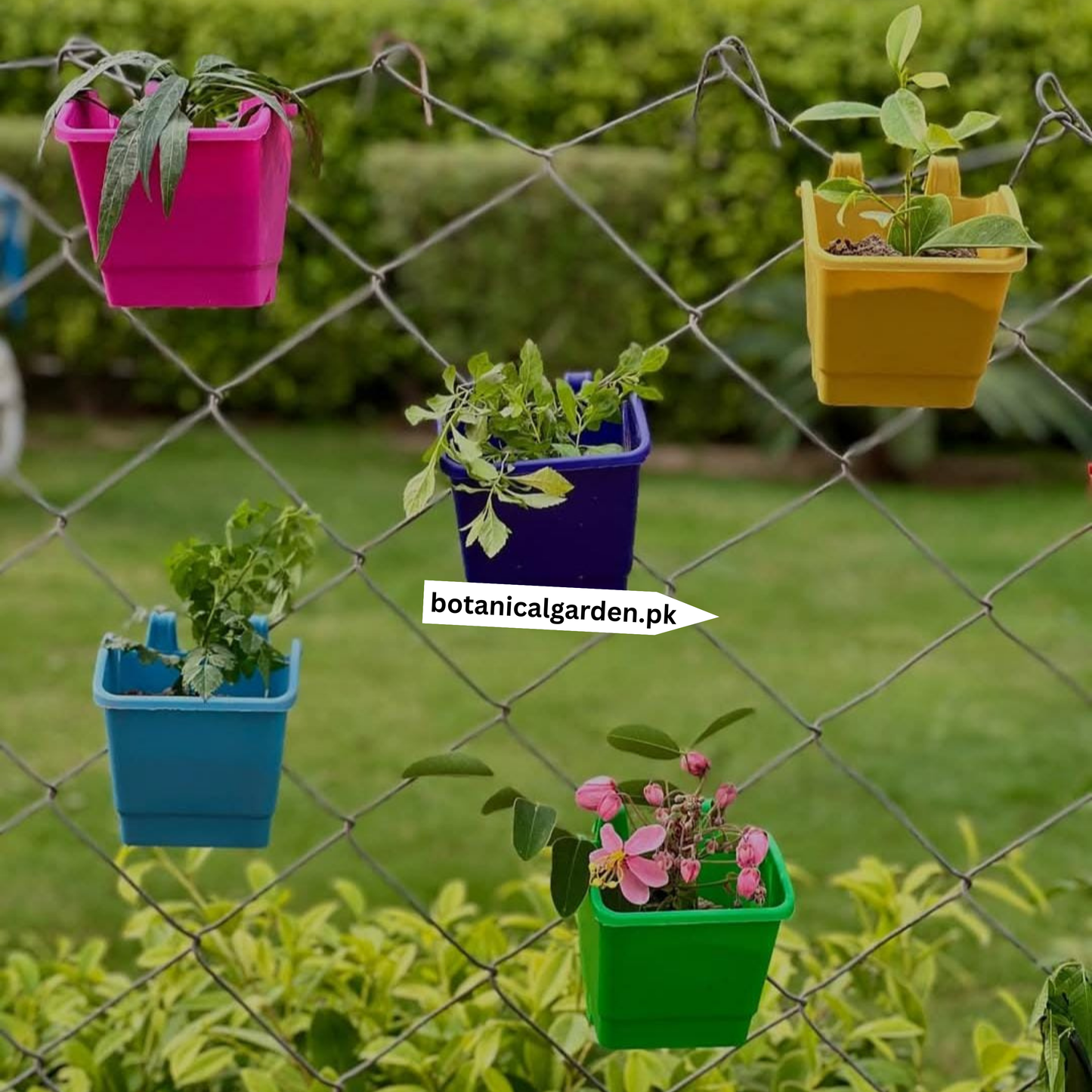 Grill Wall Pots 4inch