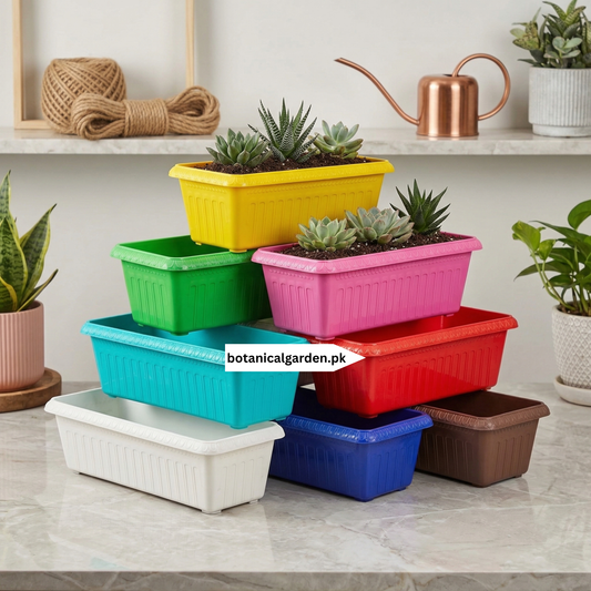 Plastic Kiyari 14inch