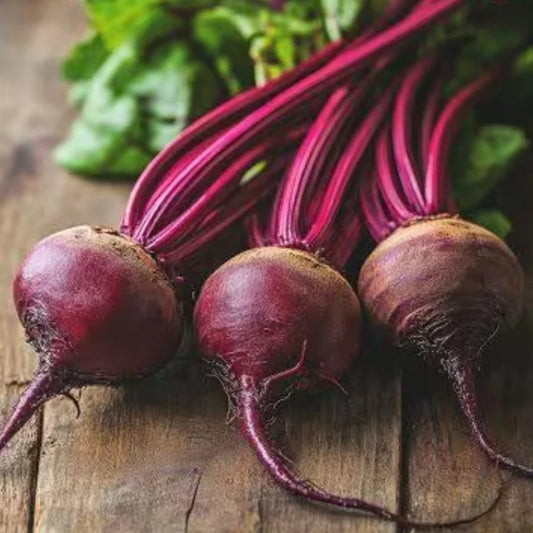 Beetroot Seeds چقندر